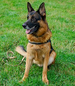 Member Image